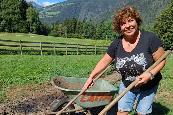 Beim Ausmisten im Lamastall