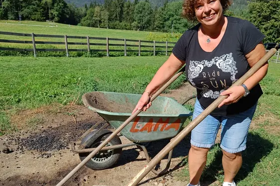 Beim Ausmisten im Lamastall