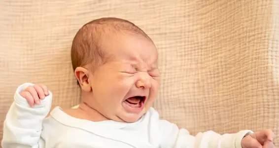 Warum schütteln gefährlich ist (Foto: 123rf, Das Foto darf nur im Zusammenhang mit dieser Pressemitteilung verwendet werden)