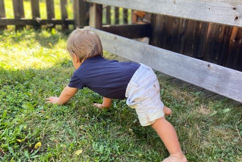 Genau zum richtigen Zeitpunkt operiert