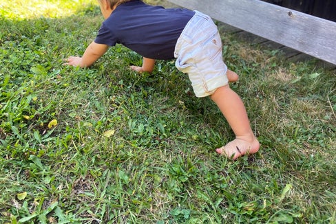 Genau zum richtigen Zeitpunkt operiert