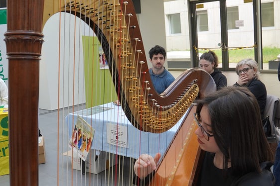 Die Harfenspielerin Elena Benetello (Foto Sabes/RL)
