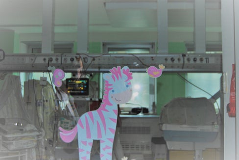 Die Welt der Frühgeborenen im Krankenhaus Bozen