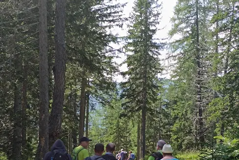 Foto: Psychiatrischer Dienst Meran