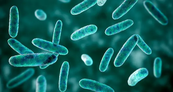 Lebensmittelbedingte Krankheiten