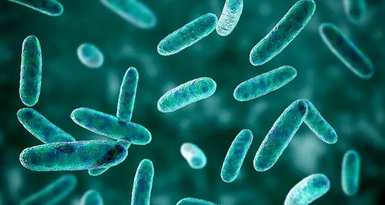 Lebensmittelbedingte Krankheiten