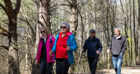 Ein Spaziergang ist eine einfache Möglichkeit, Bewegung in den Alltag zu bringen. Schon wenige zusätzliche Minuten Bewegung können sich positiv auf die Gesundheit auswirken. (Foto: LPA/Ingrid Heiss)