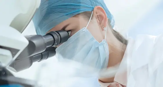 Innovation, Forschung und Lehre