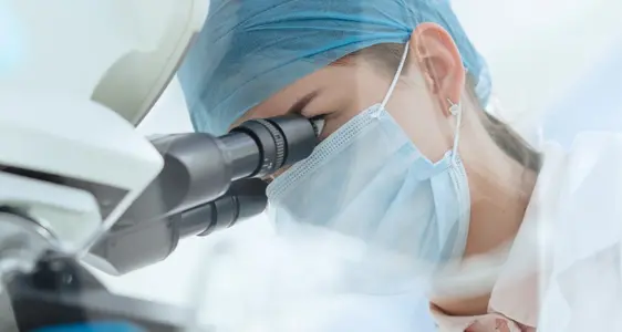 Innovation, Forschung und Lehre