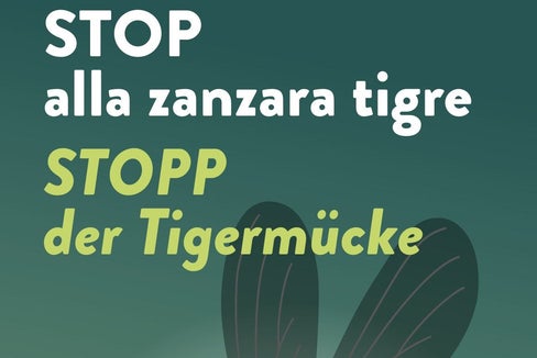 Stopp der Tigermücke - Das Plakat