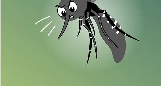 Vorsorge gegen die Tigermücke