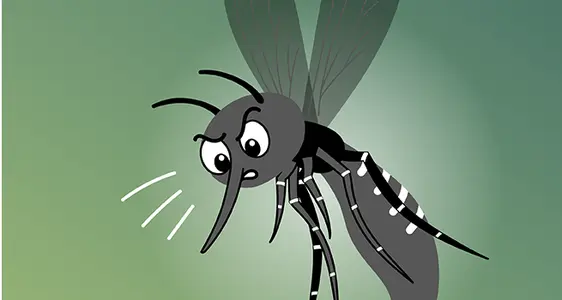 Vorsorge gegen die Tigermücke