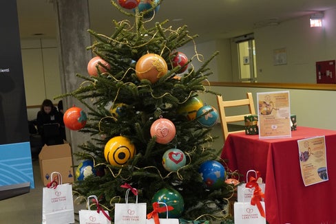 Ein Baum der Wünsche für das Krankenhaus Bozen