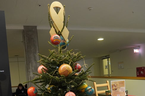 Ein Baum der Wünsche für das Krankenhaus Bozen