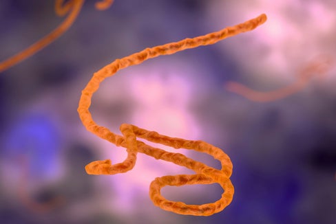 Ebolavirus (Foto: 123rf)