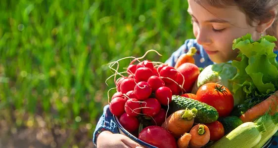Fünf Handvoll Obst und Gemüse am Tag