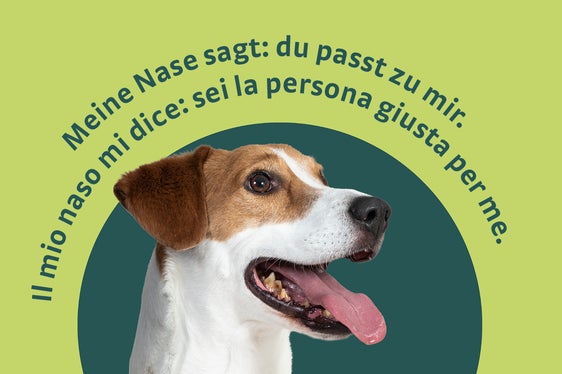 Kampagnenmotiv 3, (Foto: Ivo Corrà)