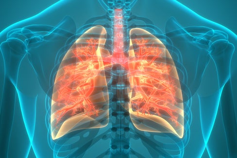 Der Tag des Atems 2023