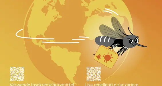 In viaggio dove ci sono zanzare? Organizzati!