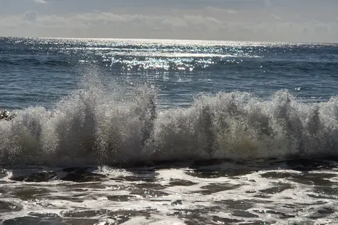 (Foto: Vera Schindler)