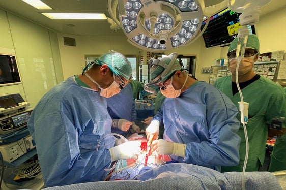 Tätigkeit der Herzchirurgen