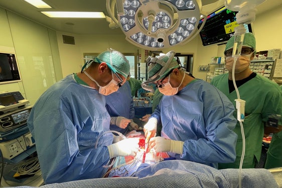 Tätigkeit der Herzchirurgen