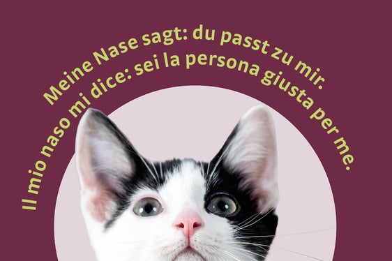 Kampagnenmotiv 4, (Foto: Ivo Corrà)