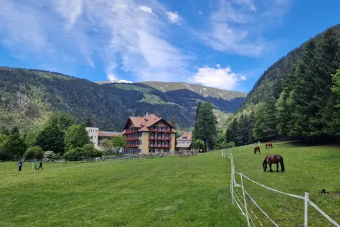 L’ambiente è parte integrante del concetto terapeutico olistico a Bad Bachgart (Foto: Vera Schindler)