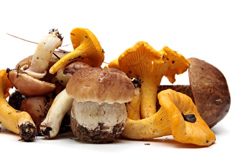 Funghi, che passione! (Foto: 123rf)