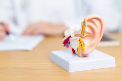 Gutes Hören ist wichtig (Foto 123rf)