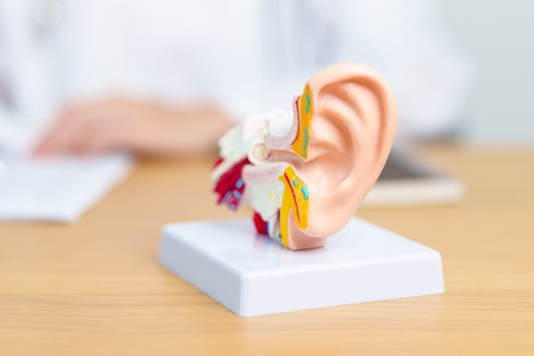 Gutes Hören ist wichtig (Foto 123rf)