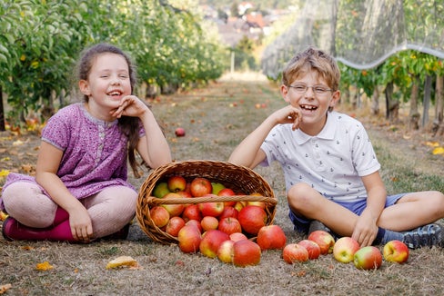 Betreuungspfad Übergewicht im Kindesalter (Foto: 123rf)