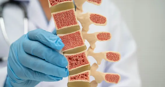 Im Gemeinschaftshaus Klausen gibt es nun eine Fachambulanz für Osteoporose. (Foto 123rf. Das Foto darf nur im Zusammenhang mit dieser Pressemitteilung verwendet werden)