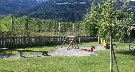 Umweltbeobachtung