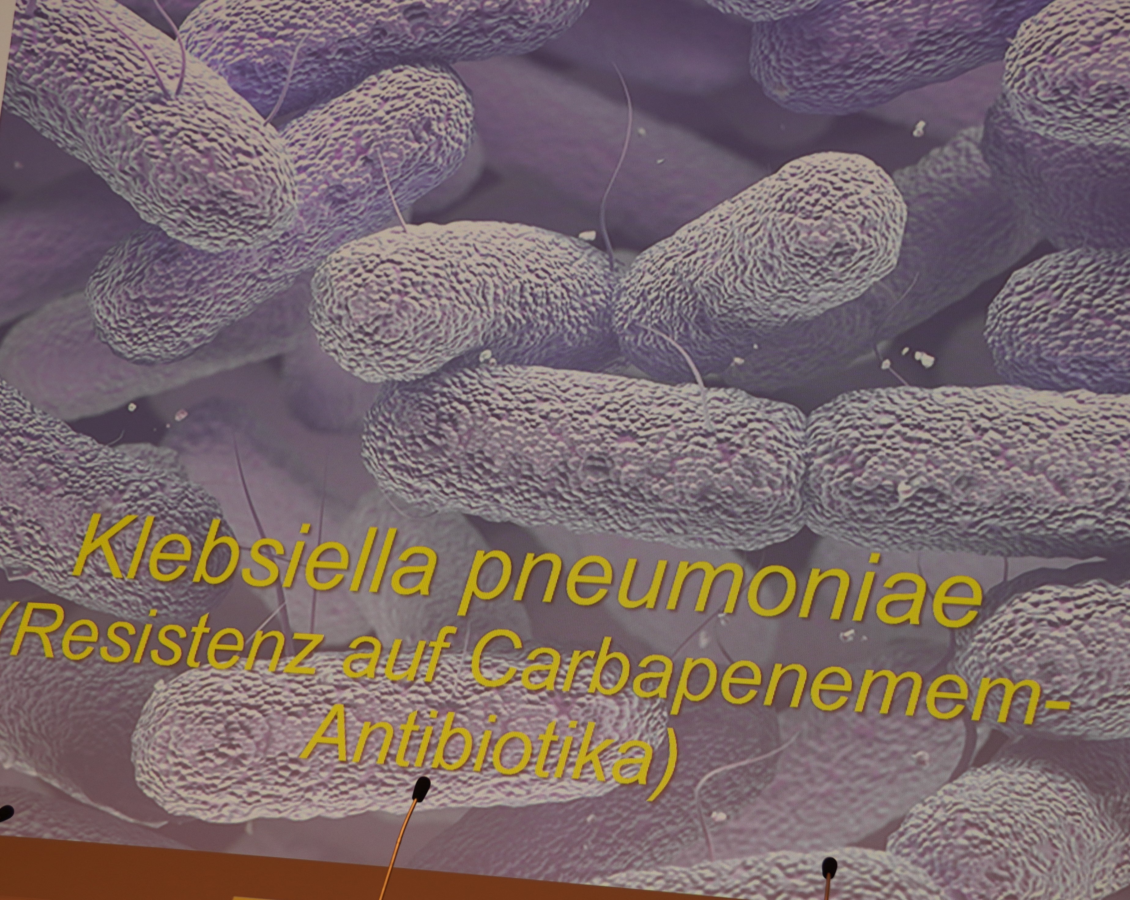 Klebsiella