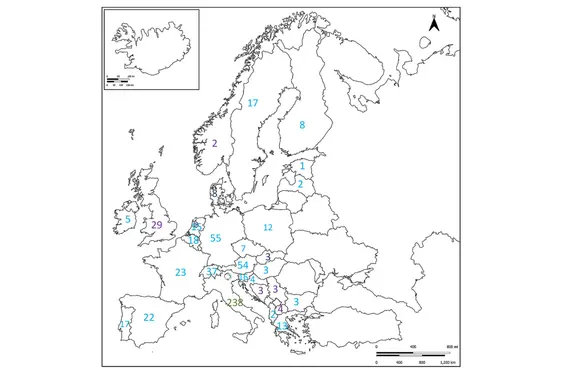Abbildung 6: Anzahl Veröffentlichungen mit Kollaborationspartnern (grün: Italien; hellblau: EU-Länder; lila: nicht-EU-Länder).