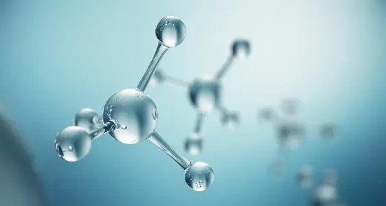 Team des Bereichs Forschung