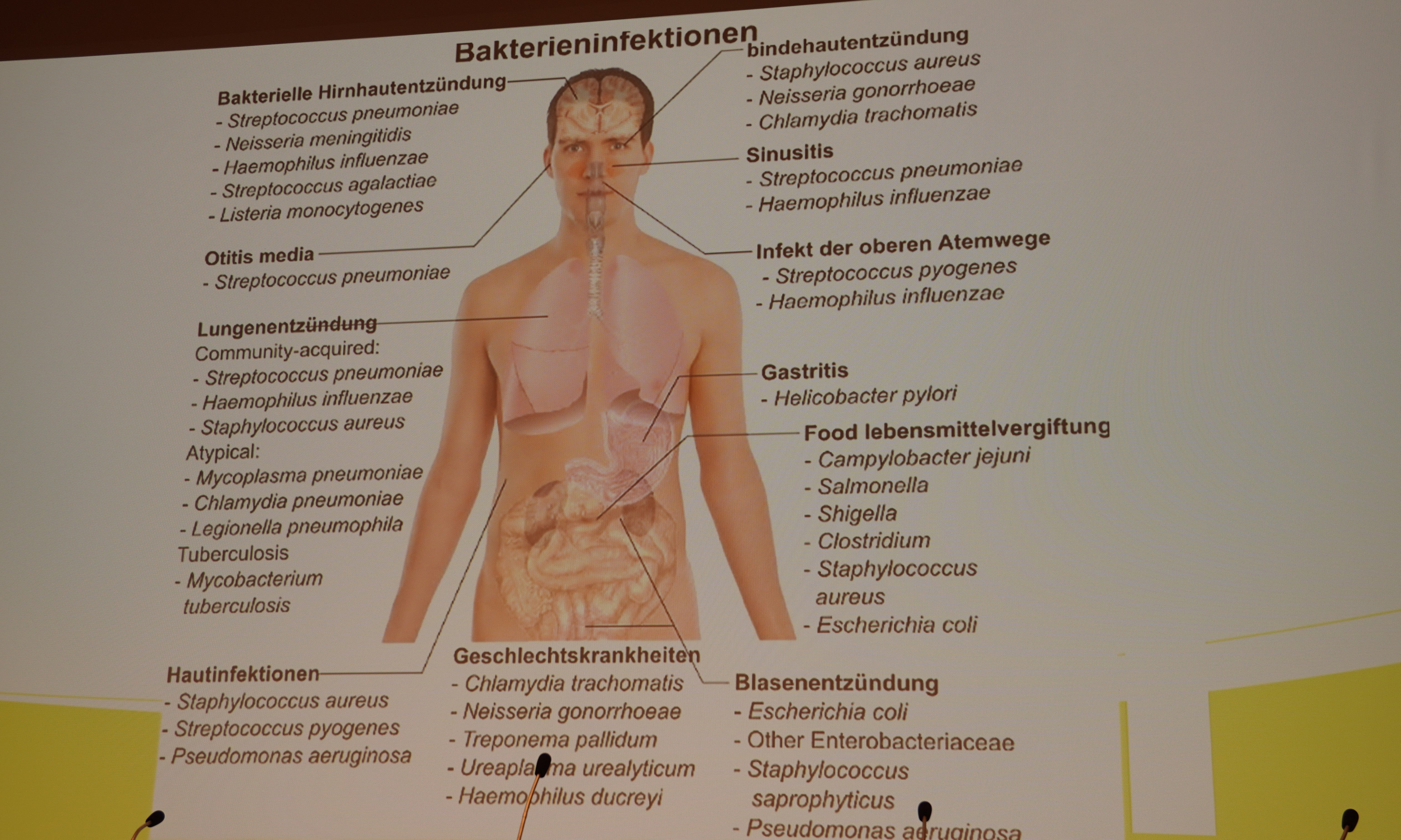 Bakterieninfektionen