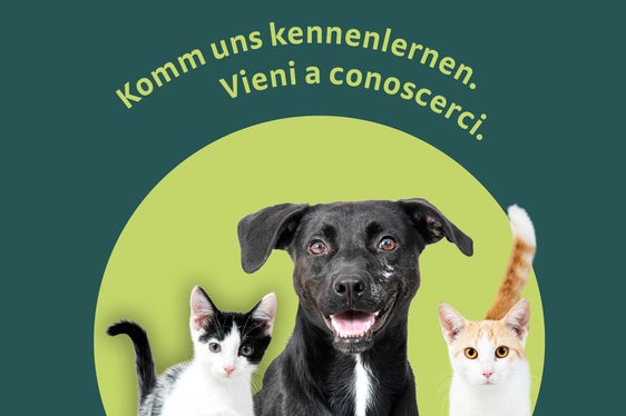 Kampagnenmotiv 1, (Foto: Ivo Corrà)