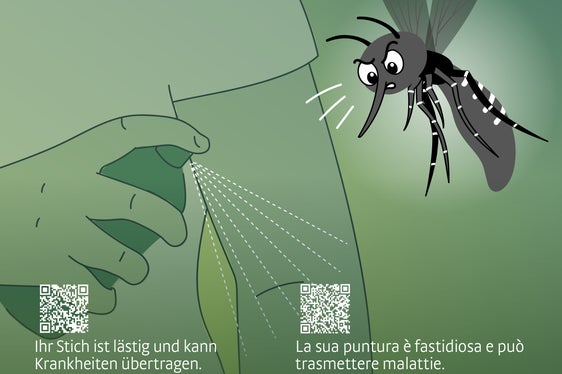 Tigermücke? Halte sie fern!