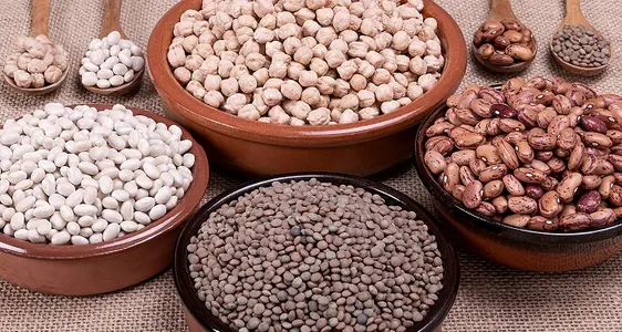 Die vielseitige Welt der Hülsenfrüchte