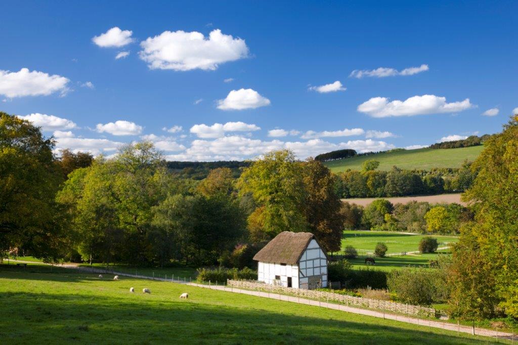 Rural scene near Chichester 