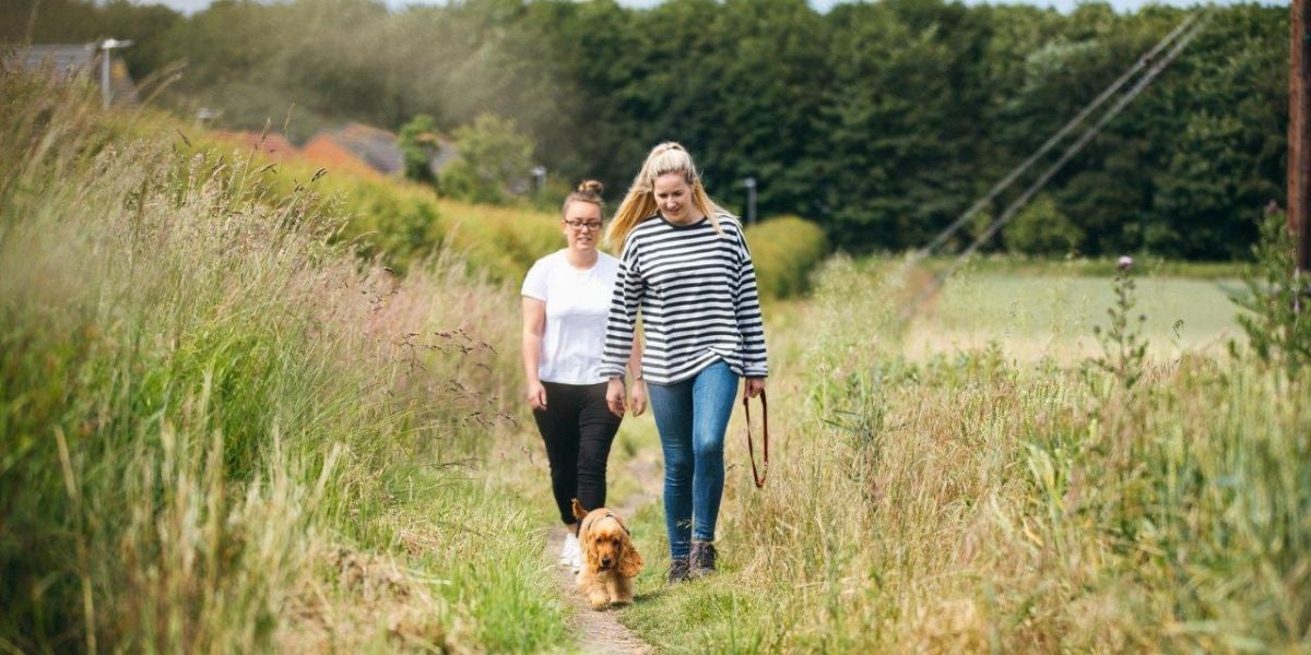 Family walking dog (stock image)