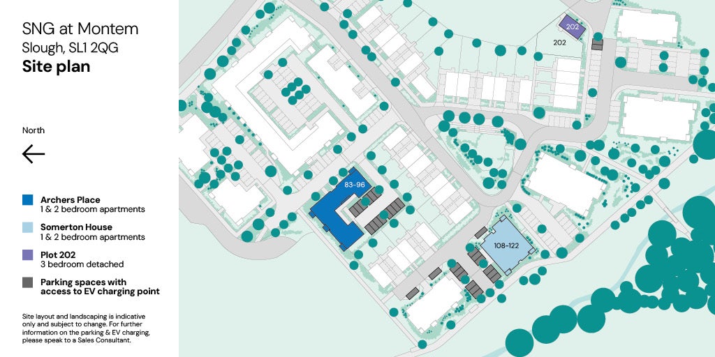  SNG at Montem - site plan