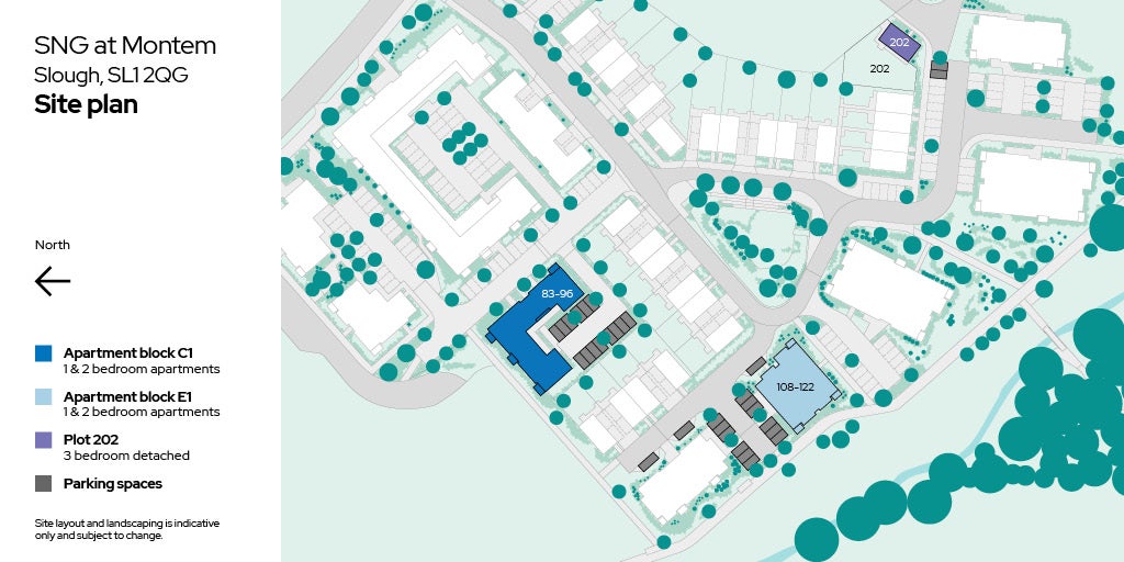 SNG at Montem - site plan