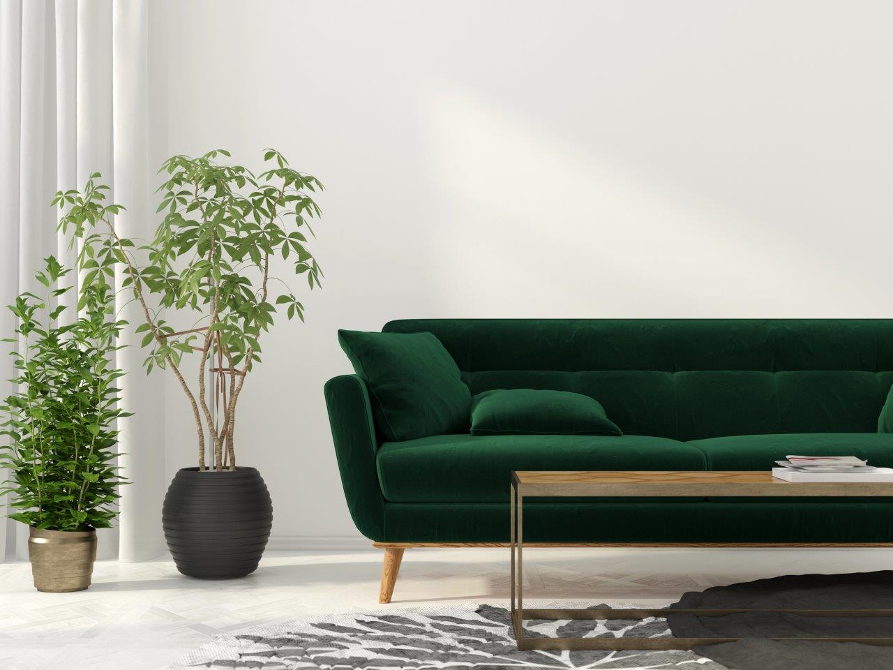 Stock image green living room