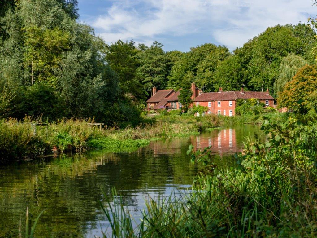 Knights Quarter - Winchester countryside