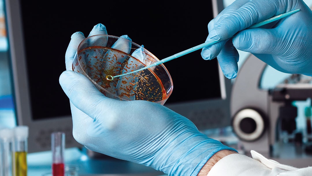 MIP Diagnostics