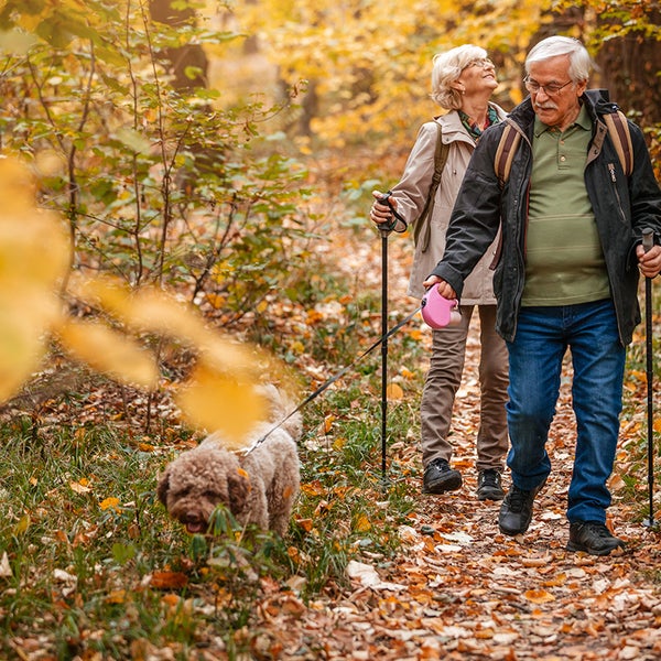 Oudere man en vrouw lopen met een hond door het bos.