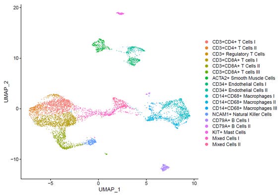 UMAP plot of 18 cell populations in 37 human atherosclerotic plaques